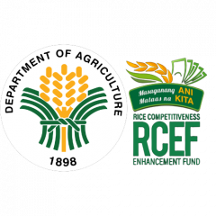 Department of Agriculture – Rice Competitiveness Enhancement Fund