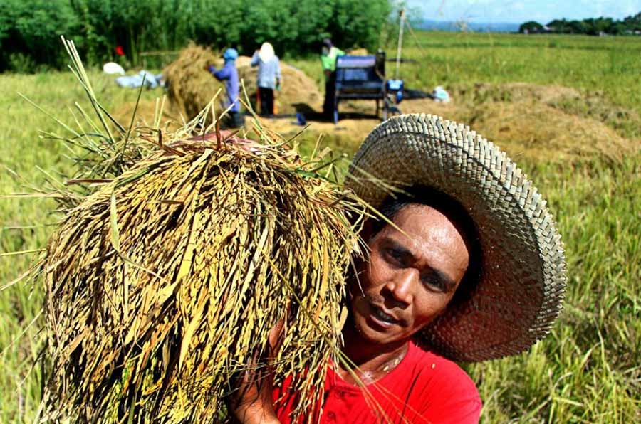 PCAFI says if RCEF is extended, the P5- billion allocation for mechanization can be used as incentives for local firms that will manufacture farm machineries. (DA Photo)