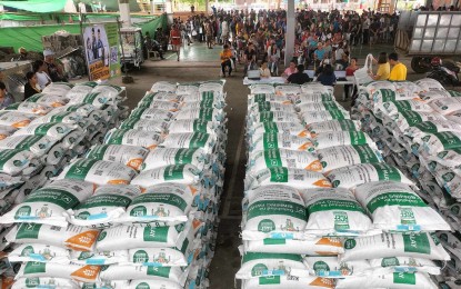 CERTIFIED SEEDS DISTRIBUTION. Certified seeds distributed to rice farmers in various cities and municipalities in Western Visayas in this photo taken in November 2023. As of Jan. 31, 2024, some 166,005 rice farmers in the region have received certified seeds for the 2024 dry season, the Philippine Rice Research Institute-Negros Station reported. (Photo courtesy of PhilRice-Negros Station)