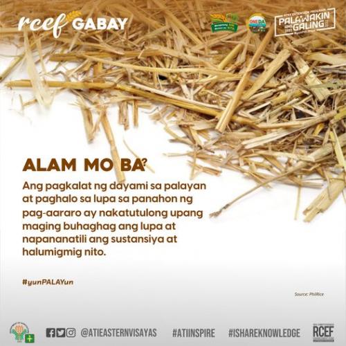 RCEF-Gabay-Alam-Mo-Ba- (1)