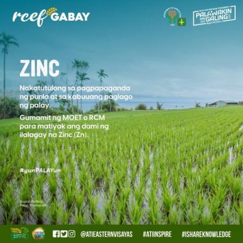 RCEF-Gabay-Fertilizer-Zinc