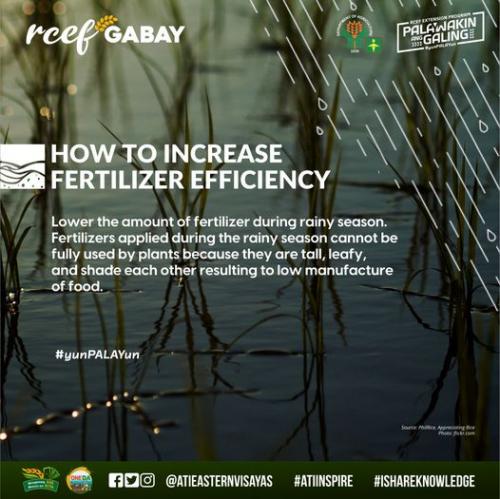 RCEF-Gabay-Fertilizer