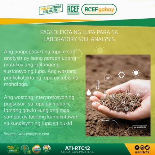 RCEF-Gabay-Lab-Soil-Analysis