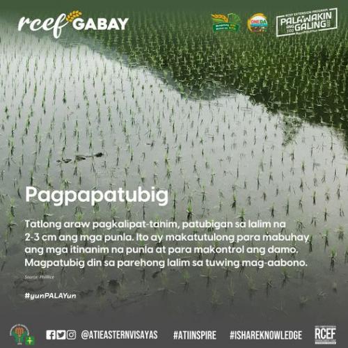 RCEF-Gabay-Pagpapatubig-1