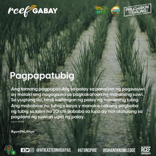 RCEF-Gabay-Pagpapatubig-2