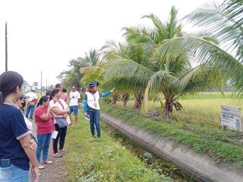 PalaySikatan-Field-day-on-Agusan-del-Sur-attended-by-more-than-60-farmers-4-24-2023-16