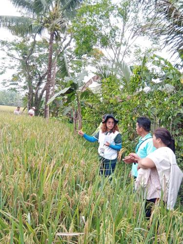 PalaySikatan-Field-day-on-Agusan-del-Sur-attended-by-more-than-60-farmers-4-24-2023-18