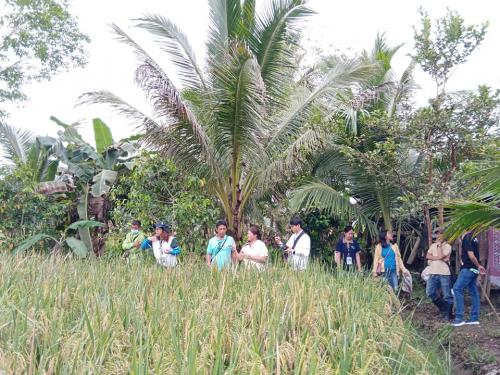 PalaySikatan-Field-day-on-Agusan-del-Sur-attended-by-more-than-60-farmers-4-24-2023-19