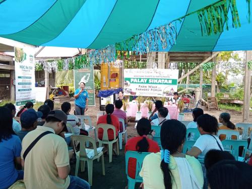 PalaySikatan-Field-day-on-Agusan-del-Sur-attended-by-more-than-60-farmers-4-24-2023-25