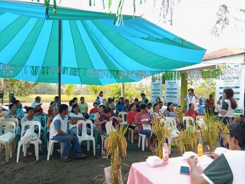 PalaySikatan-Field-day-on-Agusan-del-Sur-attended-by-more-than-60-farmers-4-24-2023-26