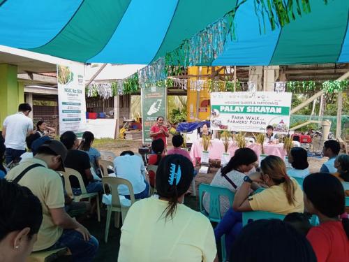 PalaySikatan-Field-day-on-Agusan-del-Sur-attended-by-more-than-60-farmers-4-24-2023-30