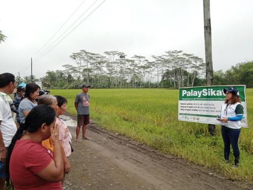 PalaySikatan-Field-day-on-Agusan-del-Sur-attended-by-more-than-60-farmers-4-24-2023-5