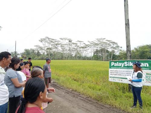 PalaySikatan-Field-day-on-Agusan-del-Sur-attended-by-more-than-60-farmers-4-24-2023-6