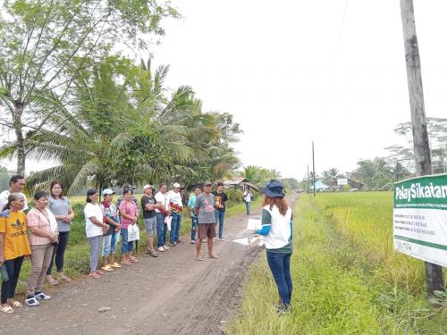 PalaySikatan-Field-day-on-Agusan-del-Sur-attended-by-more-than-60-farmers-4-24-2023-7