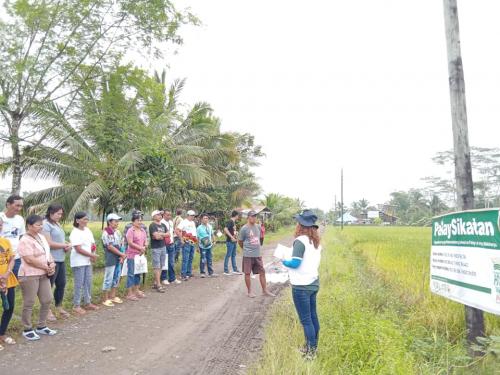 PalaySikatan-Field-day-on-Agusan-del-Sur-attended-by-more-than-60-farmers-4-24-2023-8